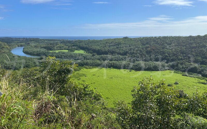 ワイルア川の絶景