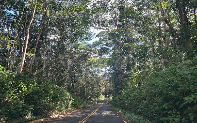 クアモオロード